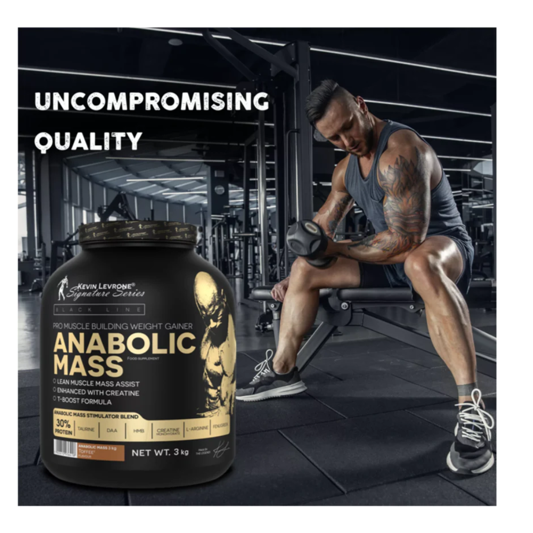 Kevin Levrone Signature Series Anabolic Mass Gainer 3KG